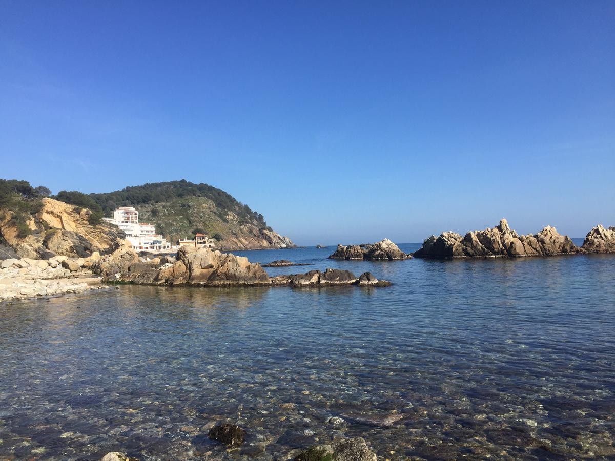 Apartaments Ample Port Marina パラモス エクステリア 写真